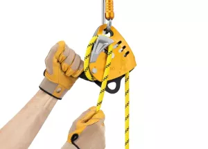 Petzl Maestro® S