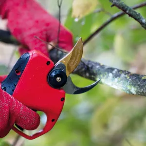 Felco Electric Pruner Felco 834W; 14,4 V; 2x3,0 Ah batt.