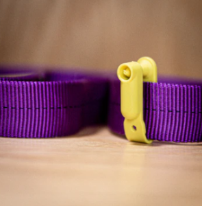 JOAT (Jack of all Tags)