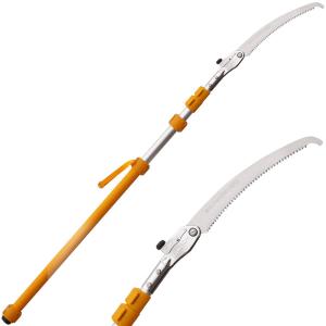 Longboy