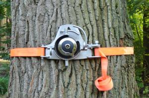 SmartWinch