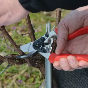 Felco 7 Pruning Shears