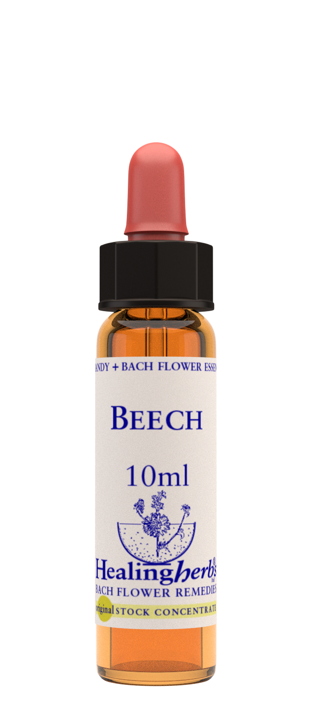 BEECH