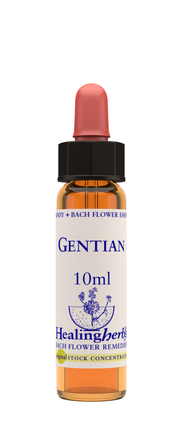 GENTIAN
