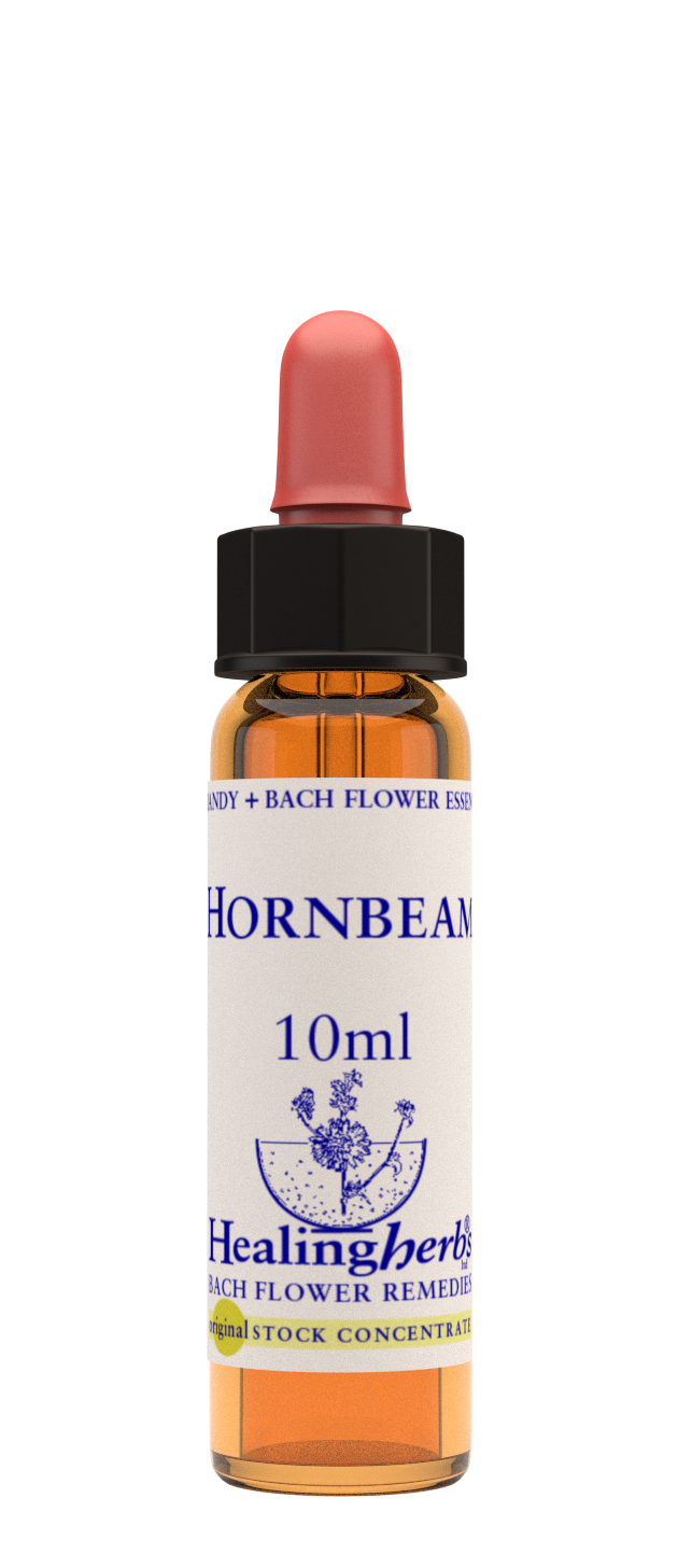 HORNBEAM