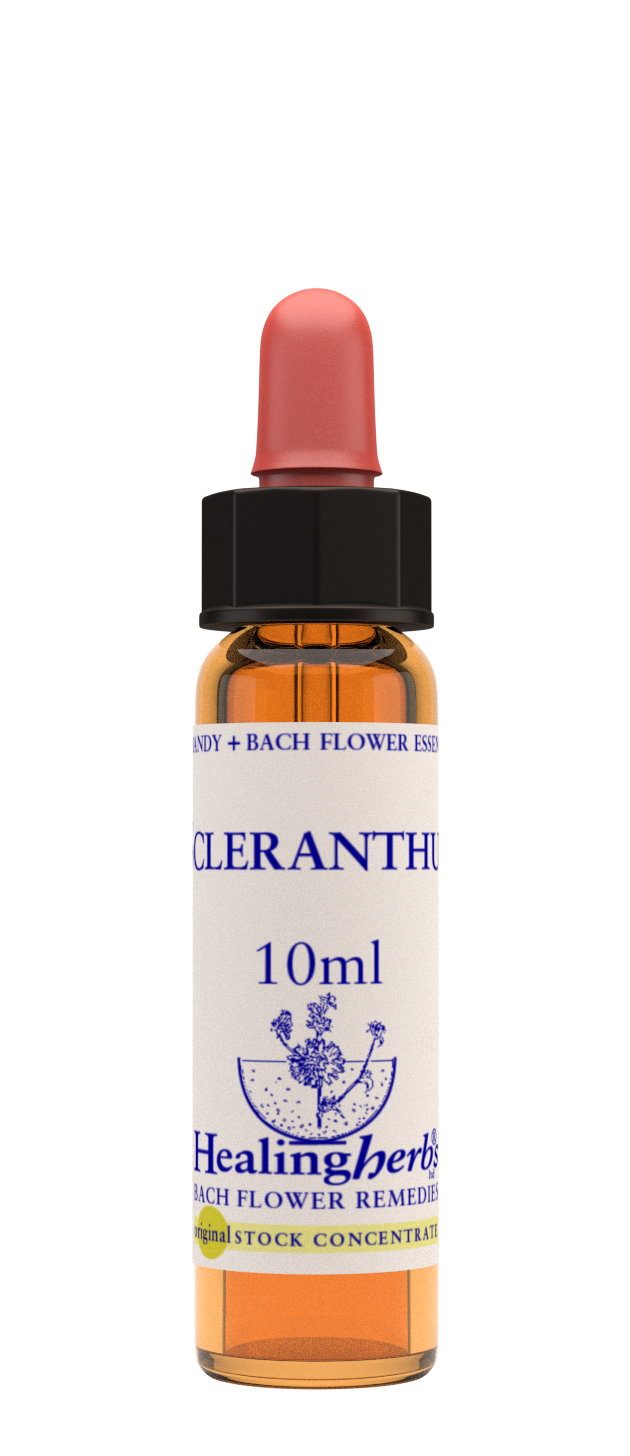 SCLERANTHUS