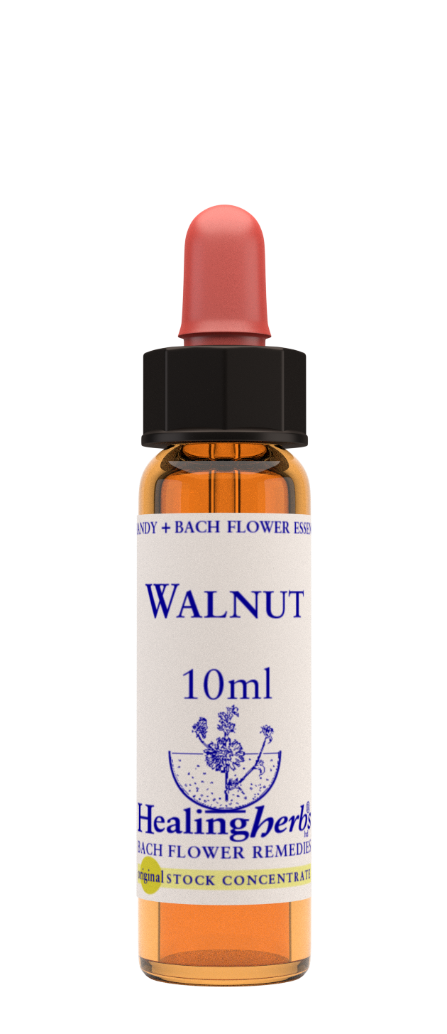 WALNUT
