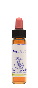 WALNUT