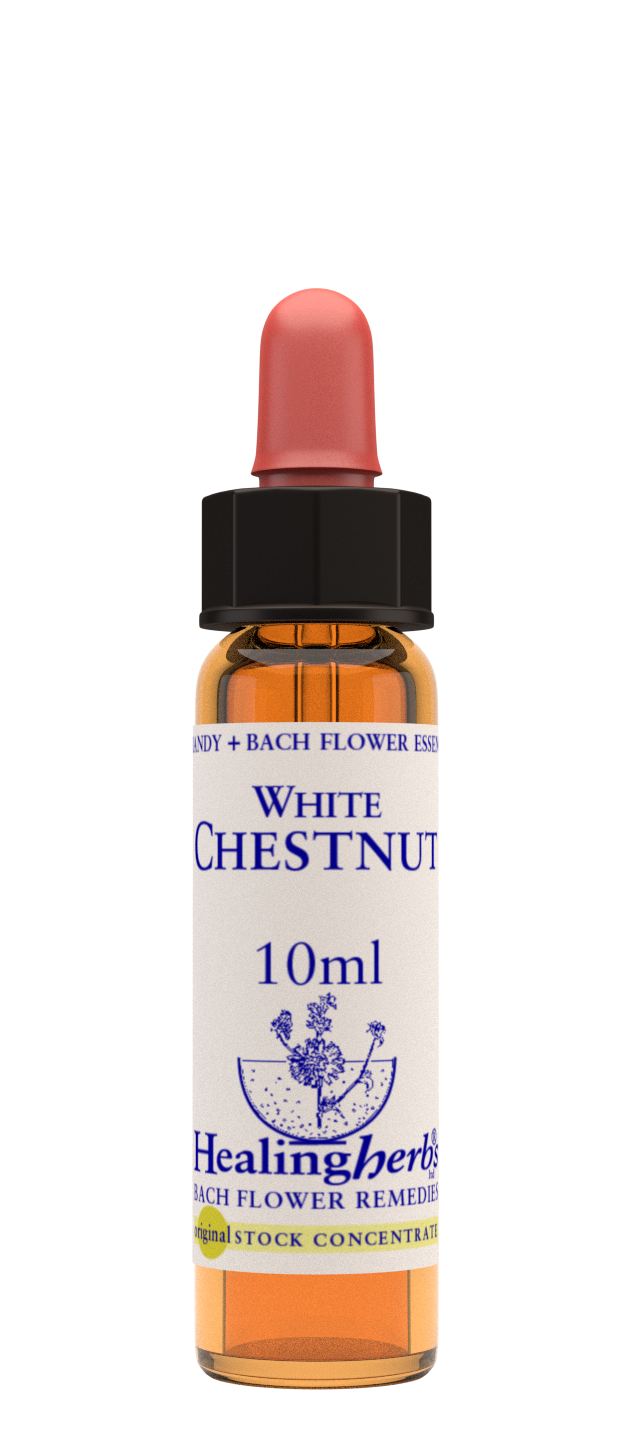 WHITE CHESTNUT