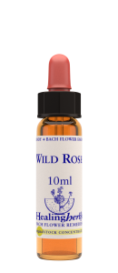 WILD ROSE