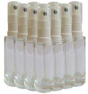 10 pack genomskinlig sprayflaska 30 ml