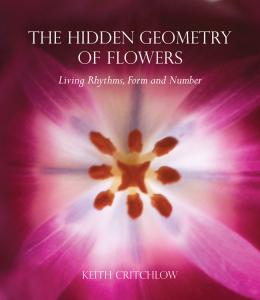 The hidden geometry of flowers