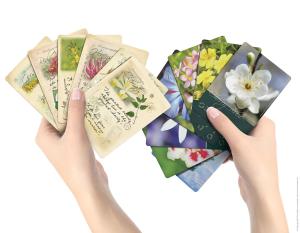 Bach Divinity Cards