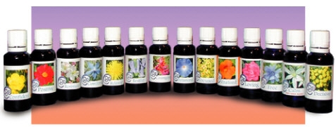 Komplett Beblends Set