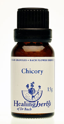 CHICORY granulat