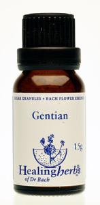 GENTIAN granulat