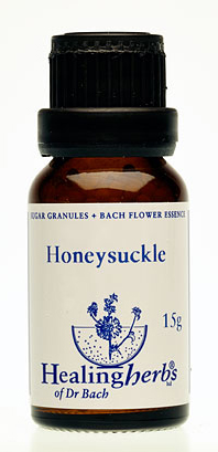 HONEYSUCKLE granulat