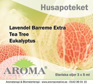 Presentask: Husapotek