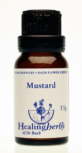 MUSTARD granulat
