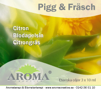 Presentask: Pigg och fräsch