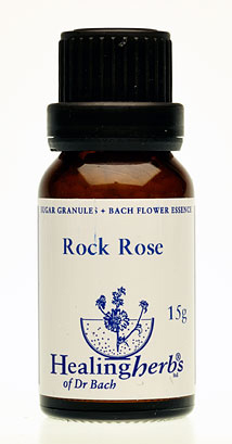 ROCK ROSE granulat