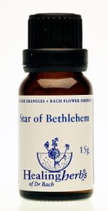 STAR OF BETHLEHEM granulat
