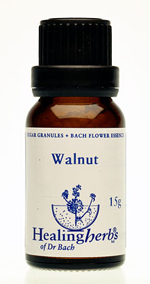 WALNUT granulat