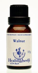 WALNUT granulat