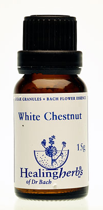 WHITE CHESTNUT granulat