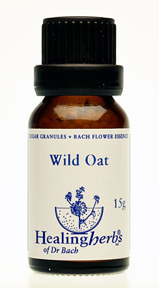 WILD OAT granulat
