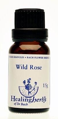WILD ROSE granulat