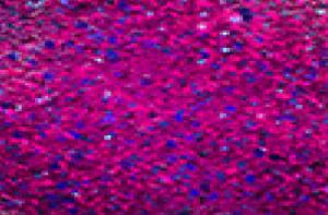Supernova Berry