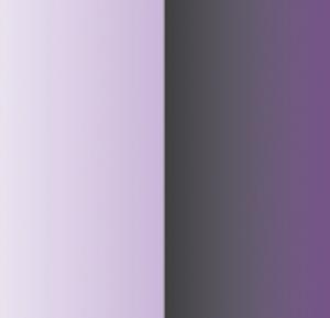 Enchanted - Violet