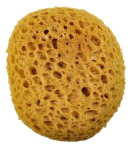 Synthetic Faux Finish Sponge