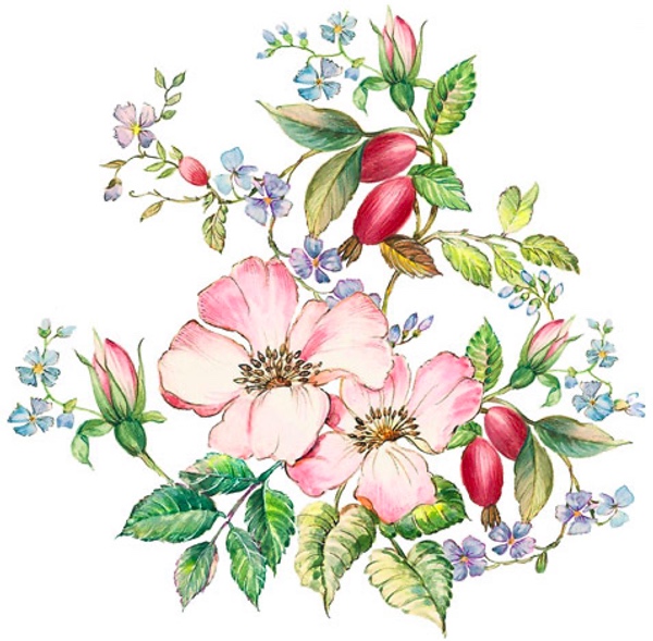 Country Lane - 100 mm - 1 pcs