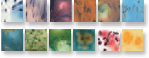 Crystalites Kit 118 ml