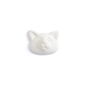 Katze - 12 St