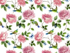 Exotische Vögel 70x50 cm