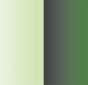 Enchanted - Green