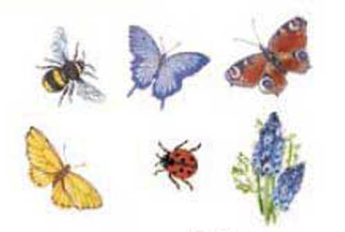 Insekten - 40 mm -Set mit 36 Stk