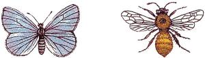 Schmetterling & Biene - 30 x 20 mm - 10 stk