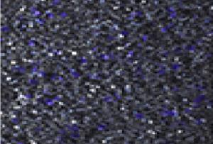 Black Hole