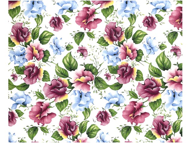 Pea Flowers 70x50 cm