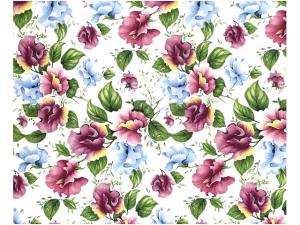 Pea Flowers 70x50 cm