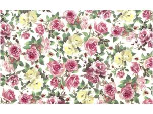 Pink Roses 70x50 cm