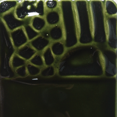 Evergreen Fir
