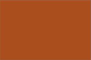 Stylin - Chestnut