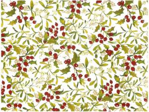 Mistletoe 70x50 cm