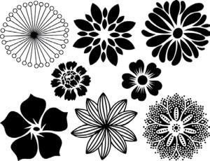 Blommor - Platina