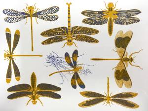 Libellen - Gold/Blau